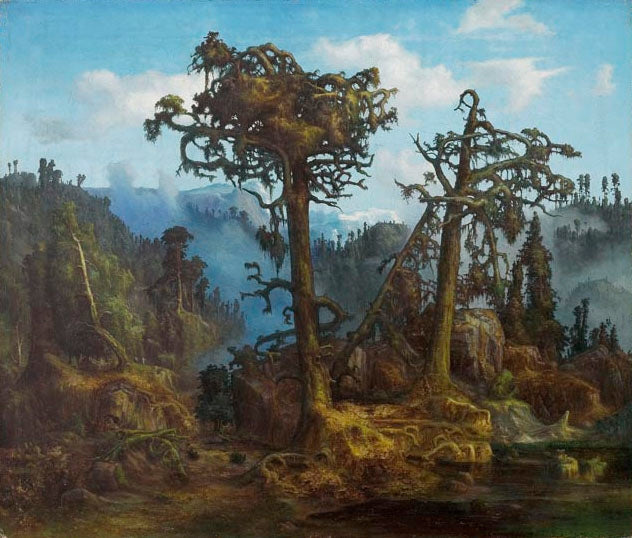 Vieux Pins, Lars Hertervig, 1865, peinture à l’huile