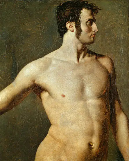 Torso de hombre - Jean-Auguste-Dominique Ingres