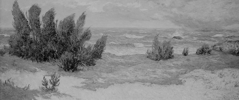 Golpe de viento - Maxime Maufra