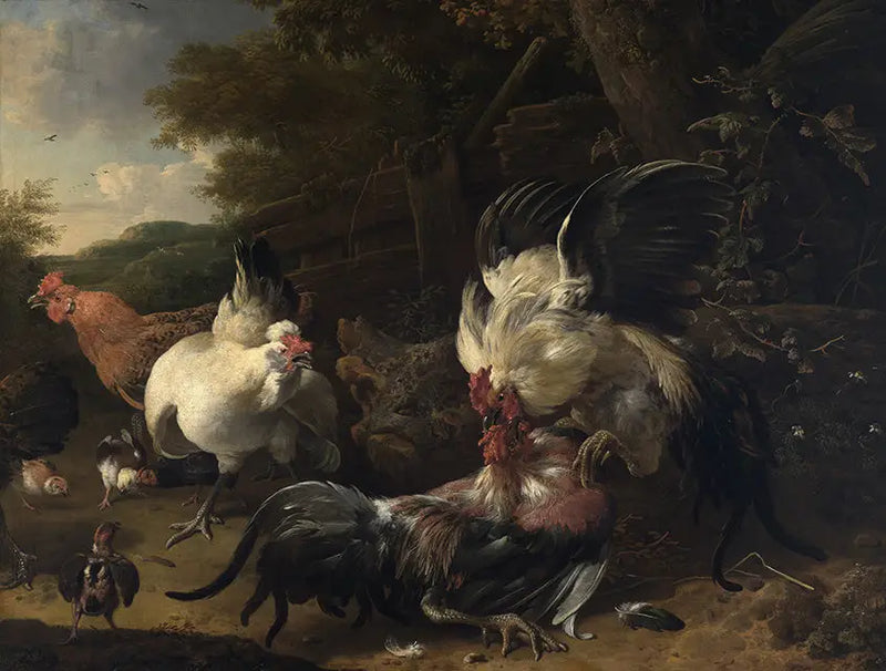 Combates de gallos - Melchior de Hondecoeter