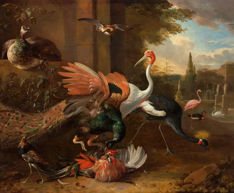 Un pavo real atacando a un gallo - Melchior de Hondecoeter