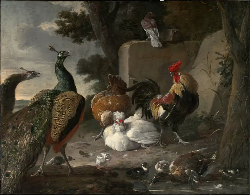 Paones en compañía de las aves de corral - Melchior de Hondecoeter