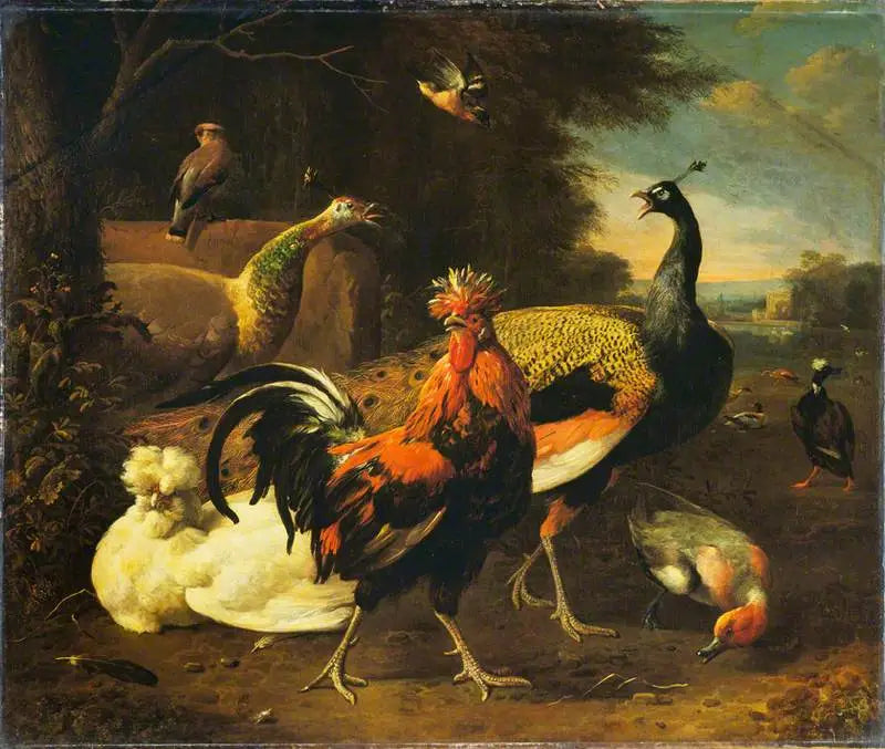 Un gallo con otros pájaros - Melchior de Hondecoeter
