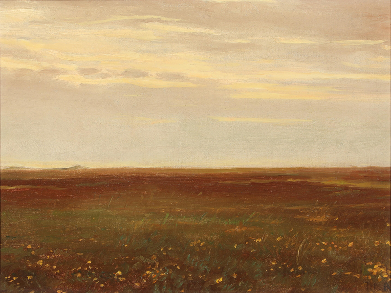 Paisaje con flores silvestres. - Michael Peter Ancher