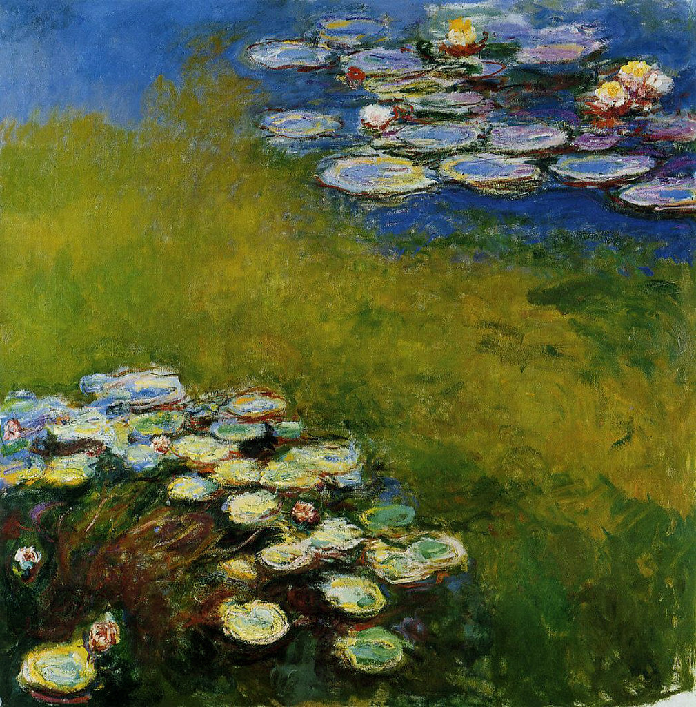 🌿 Nenúfares sobre fondo verde y azul