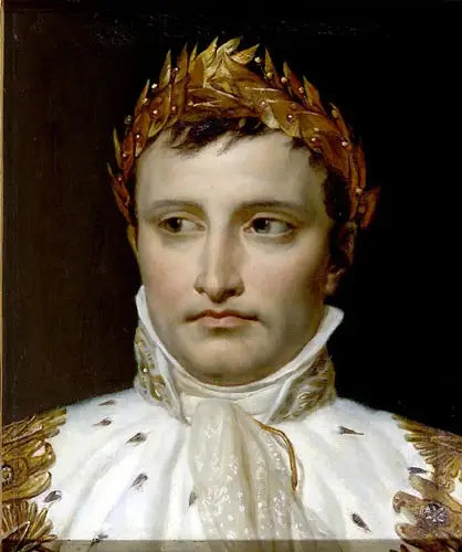Napoleón, cabeza coronada - Jacques-Louis David