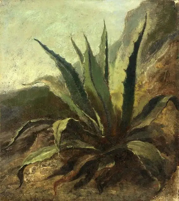 Agave en Marruecos - Eugène Delacroix