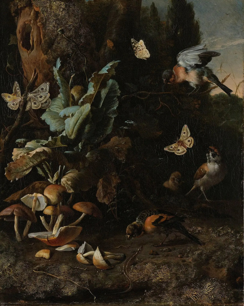 Animales y plantas - Melchior de Hondecoeter