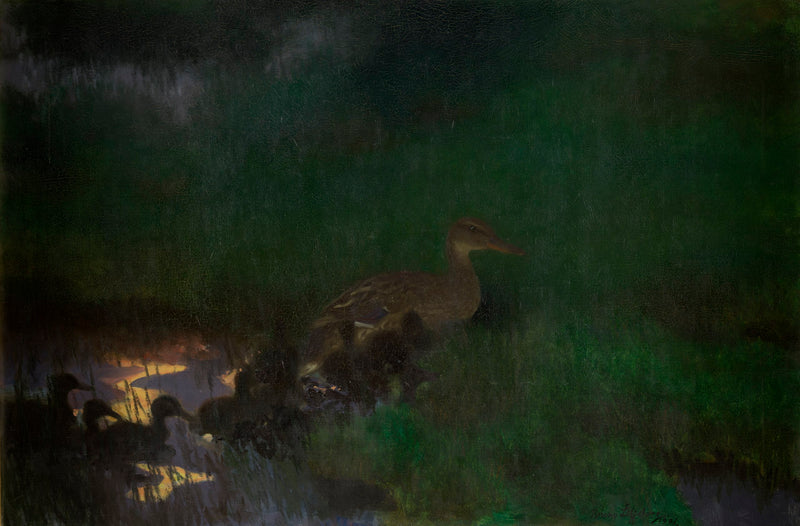 Cría de patos salvajes - Bruno Liljefors