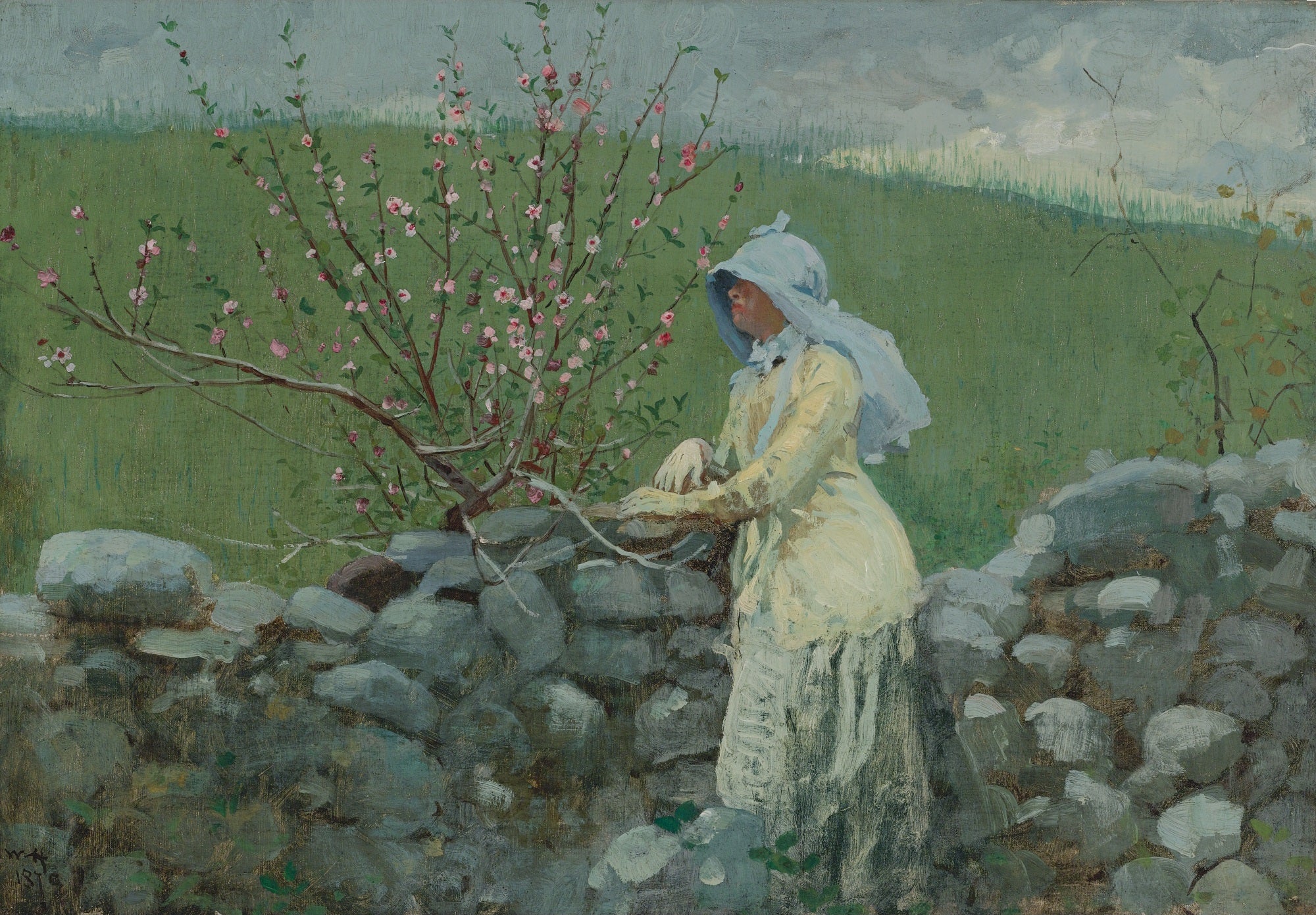 Fleurs de pêcher - Winslow Homer