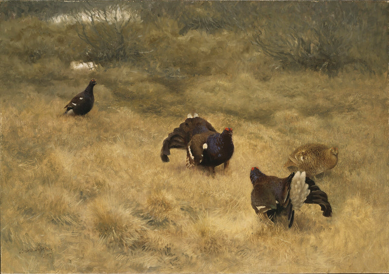 Caza negra en primavera - Bruno Liljefors