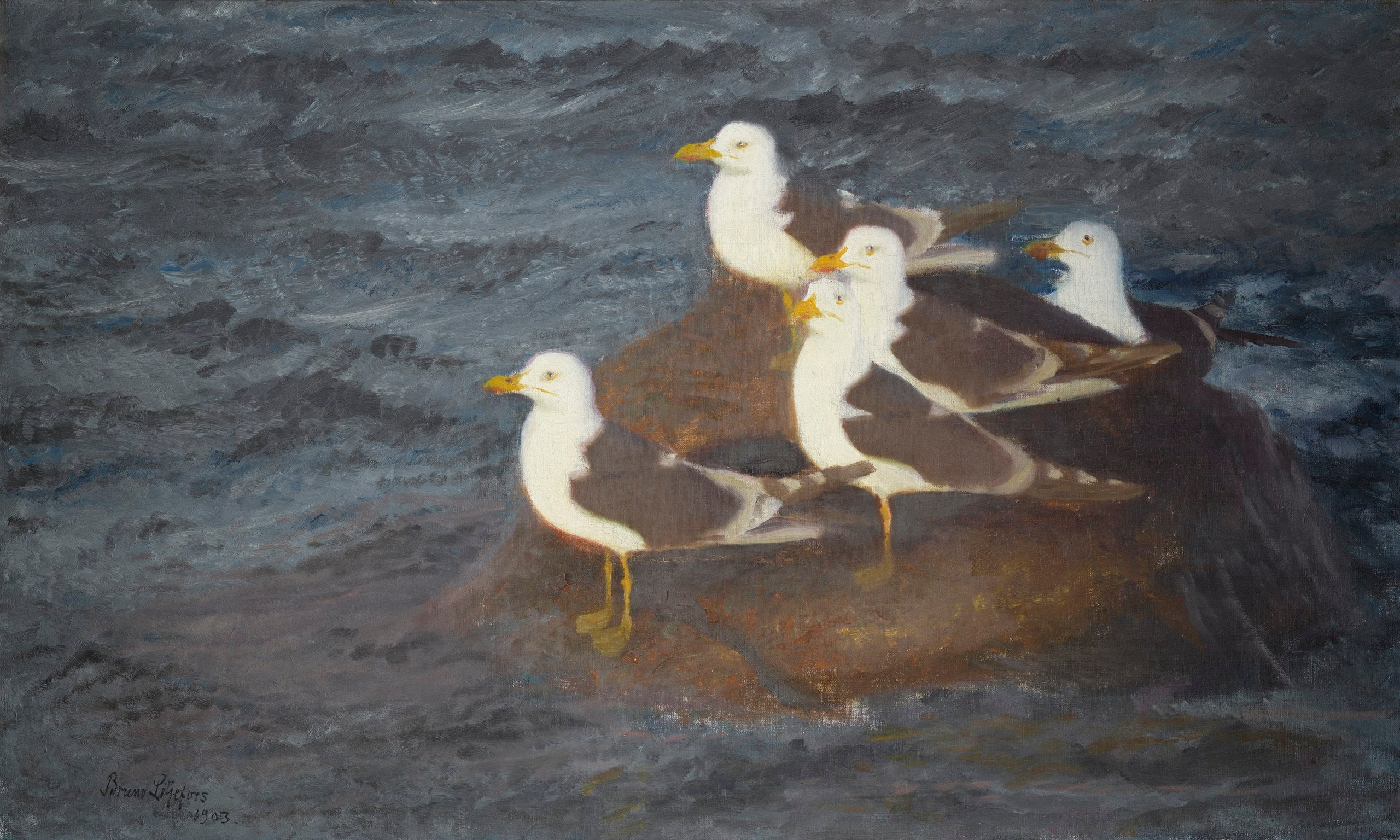Goélands bruns au repos - Bruno Liljefors