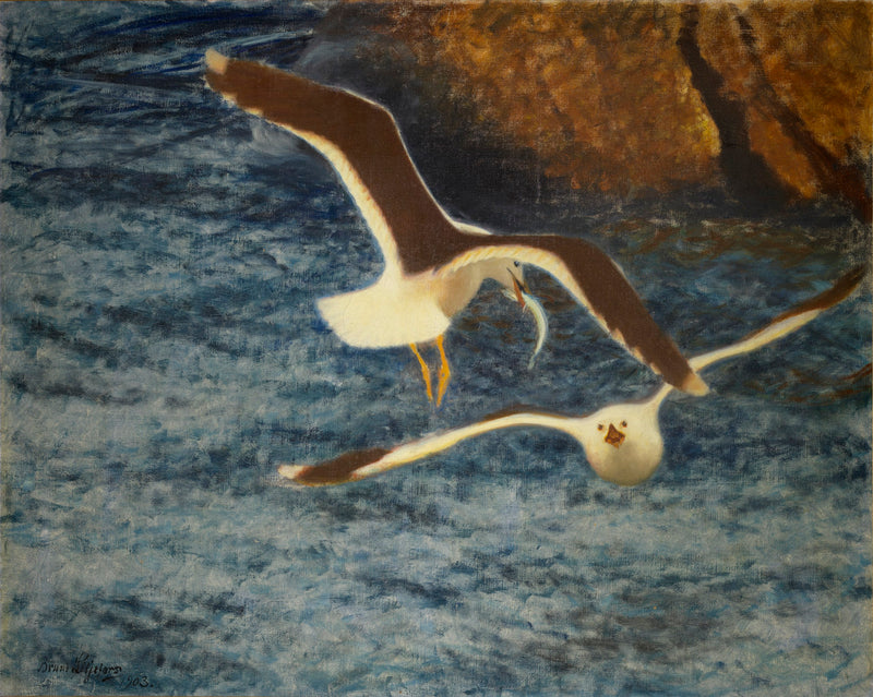 Gaviotas pardas en vuelo - Bruno Liljefors