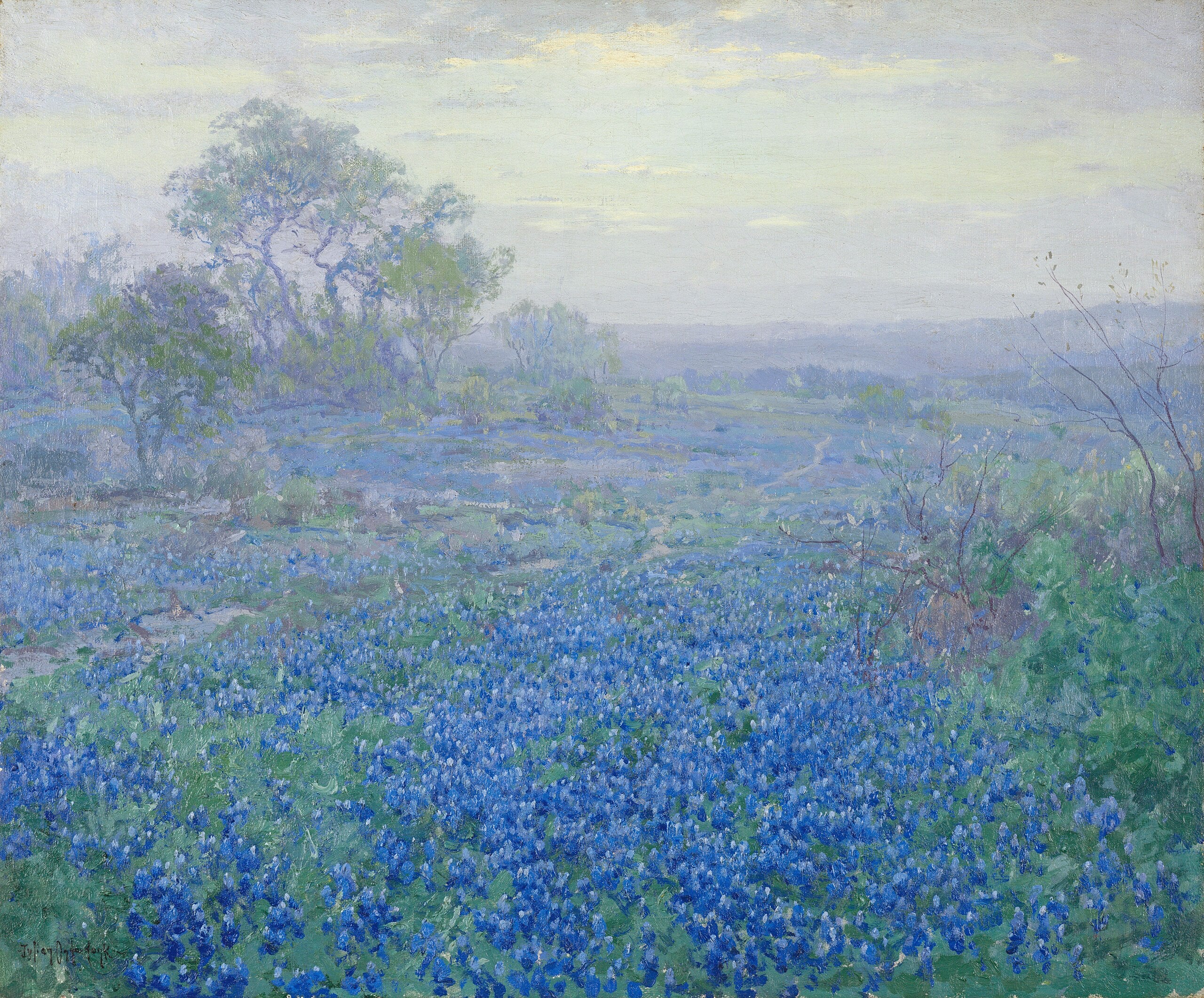 Journée nuageuse lupins bleus près de San Antonio Texas - Julian Onderdonk - Alpha Reproduction