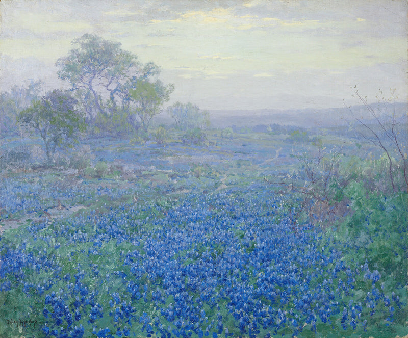 Día nublado, lupinos azules cerca de San Antonio, Texas - Julian Onderdonk