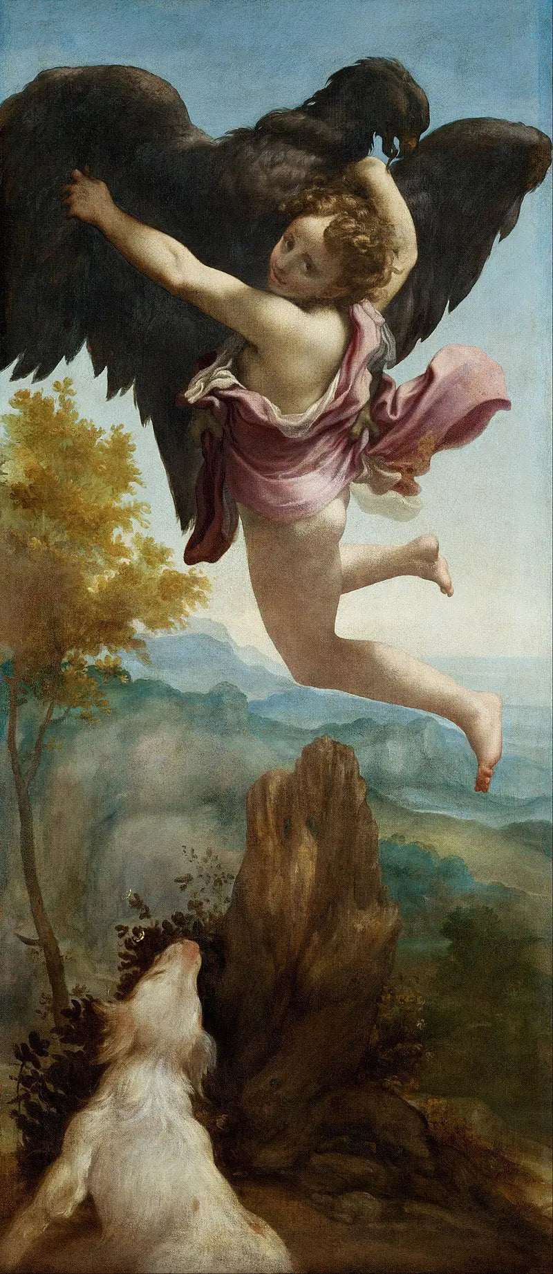 El rapto de Ganimedes - Antonio da Correggio
