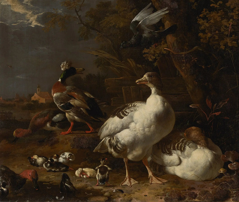 Gansos y patos - Melchior de Hondecoeter