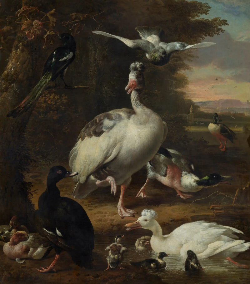 Aves - Melchior de Hondecoeter