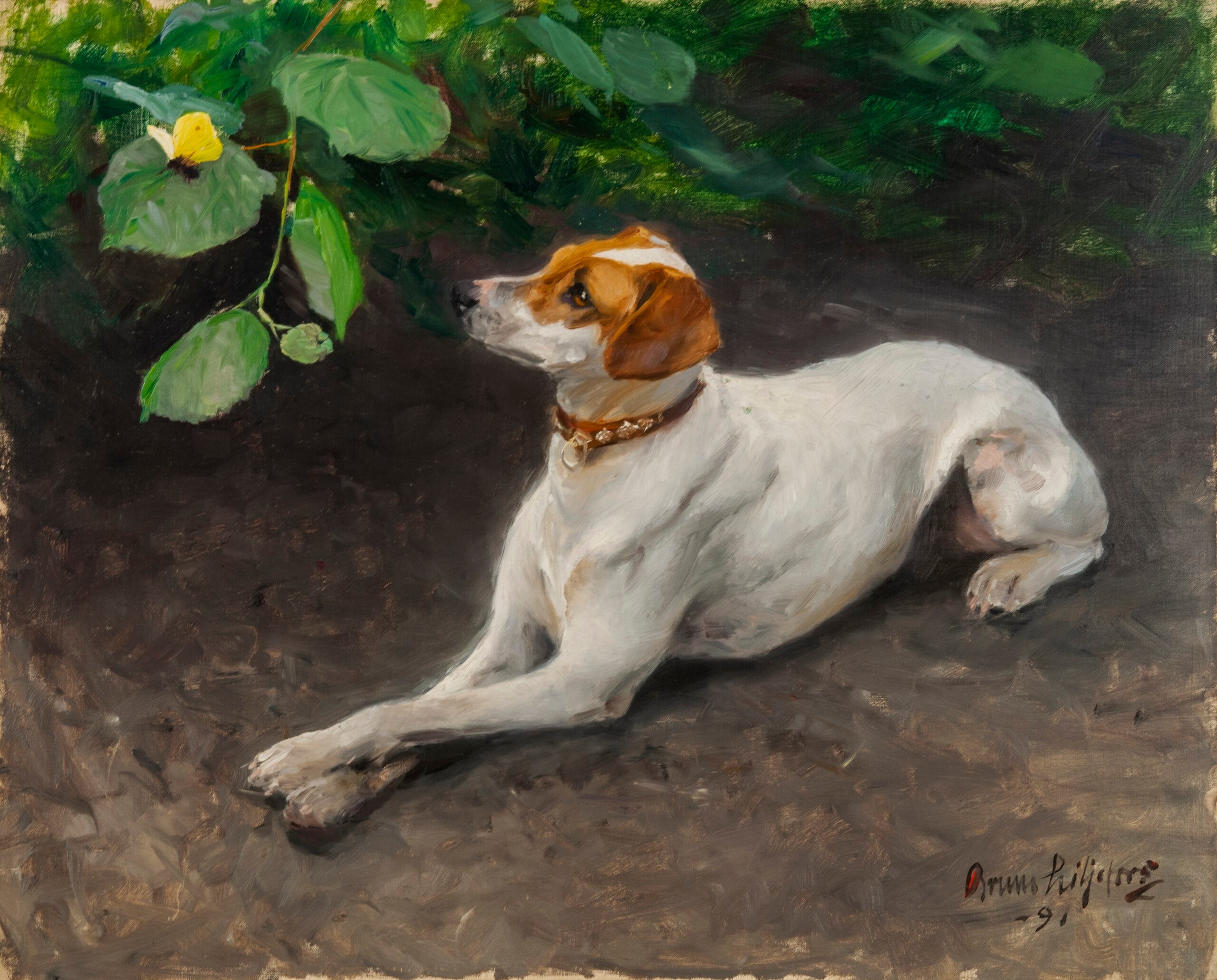 Retrato de un perro - Bruno Liljefors
