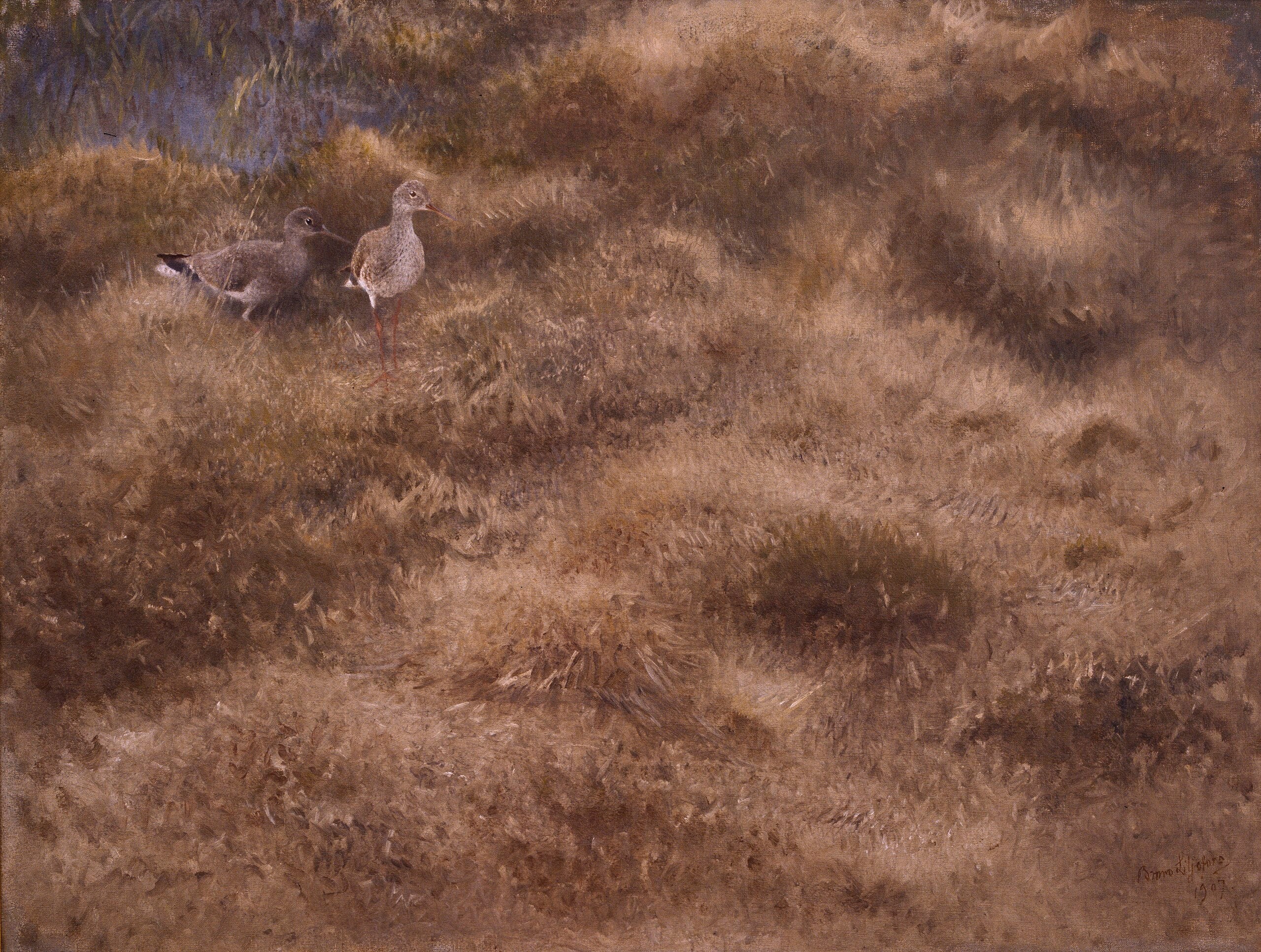 Prairie avec des bécasseaux - Bruno Liljefors