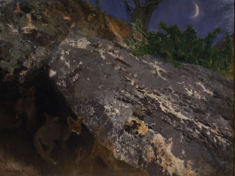 Cachorros de zorro - Bruno Liljefors