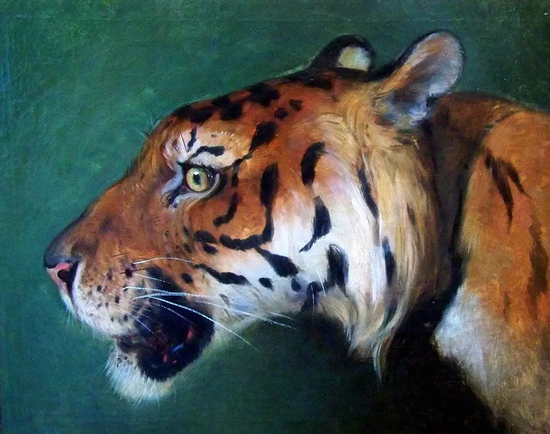 Cabeza de tigre - Eugène Delacroix
