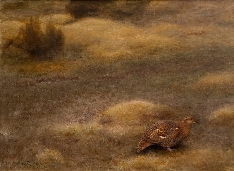 Urogallo hembra - Bruno Liljefors