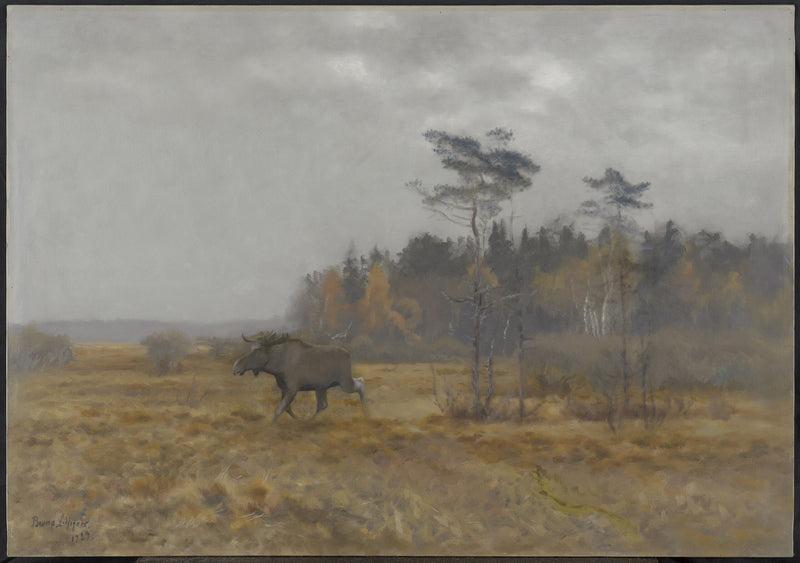 Un alce cruzando un pantano en Suecia - Bruno Liljefors