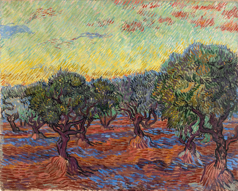 Olivar, Saint-Rémy - Vincent van Gogh