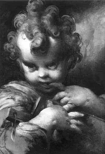 Niño San Juan - Parmigianino