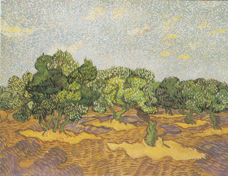Olivos - Vincent van Gogh