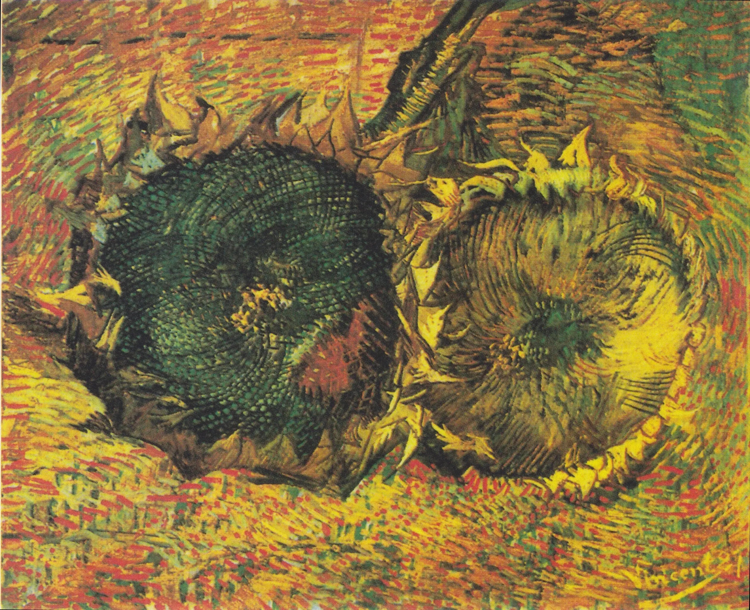 Reproduction du tableau « Deux Tournesols coupés - Vincent van Gogh » par Alpha Reproduction en peinture à l’huile