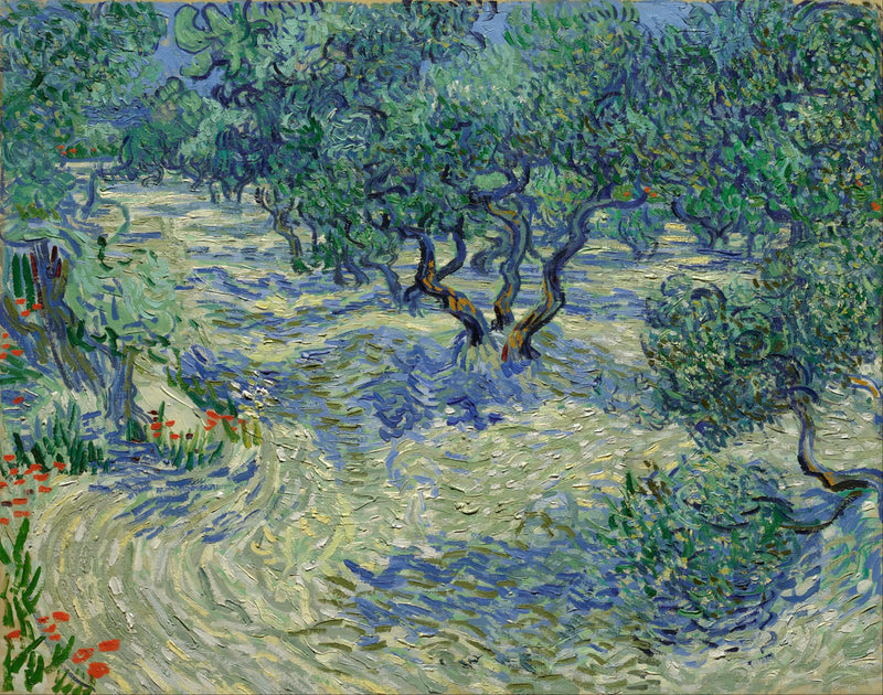 Olivar - Vincent van Gogh