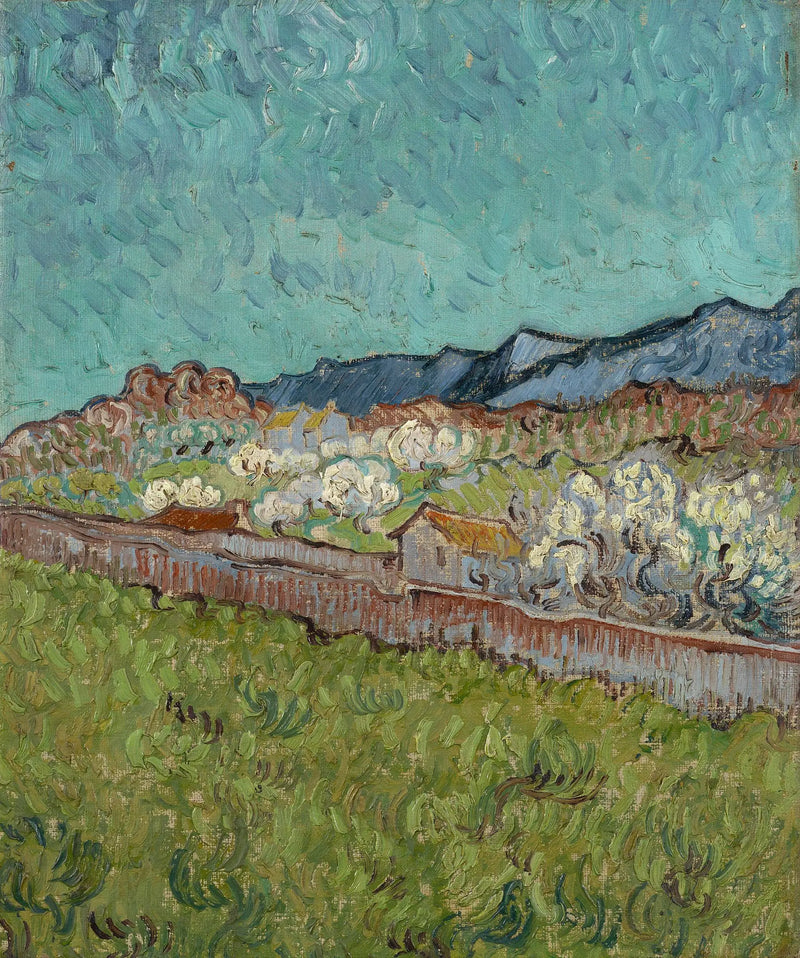 Vista de los Alpilles - Vincent van Gogh