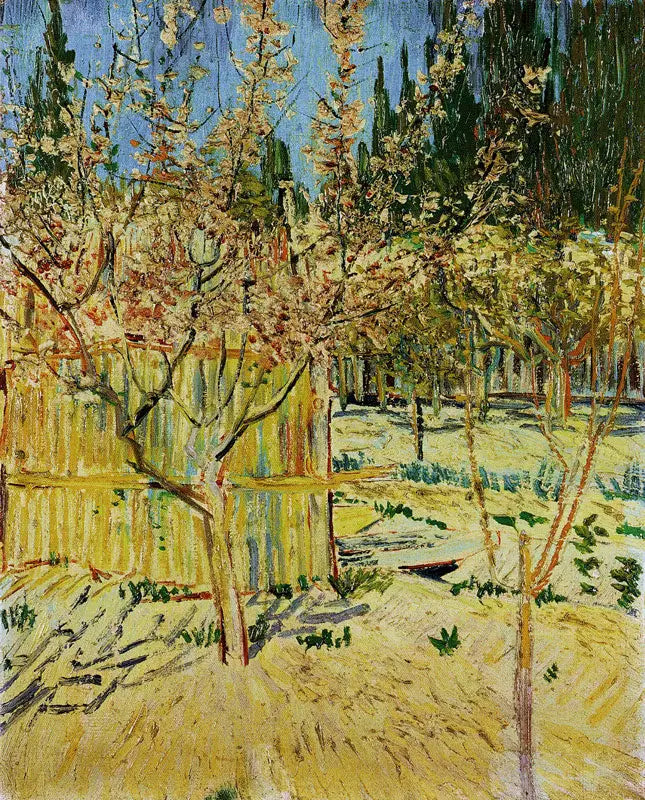 Albaricoqueros en flor - Vincent van Gogh
