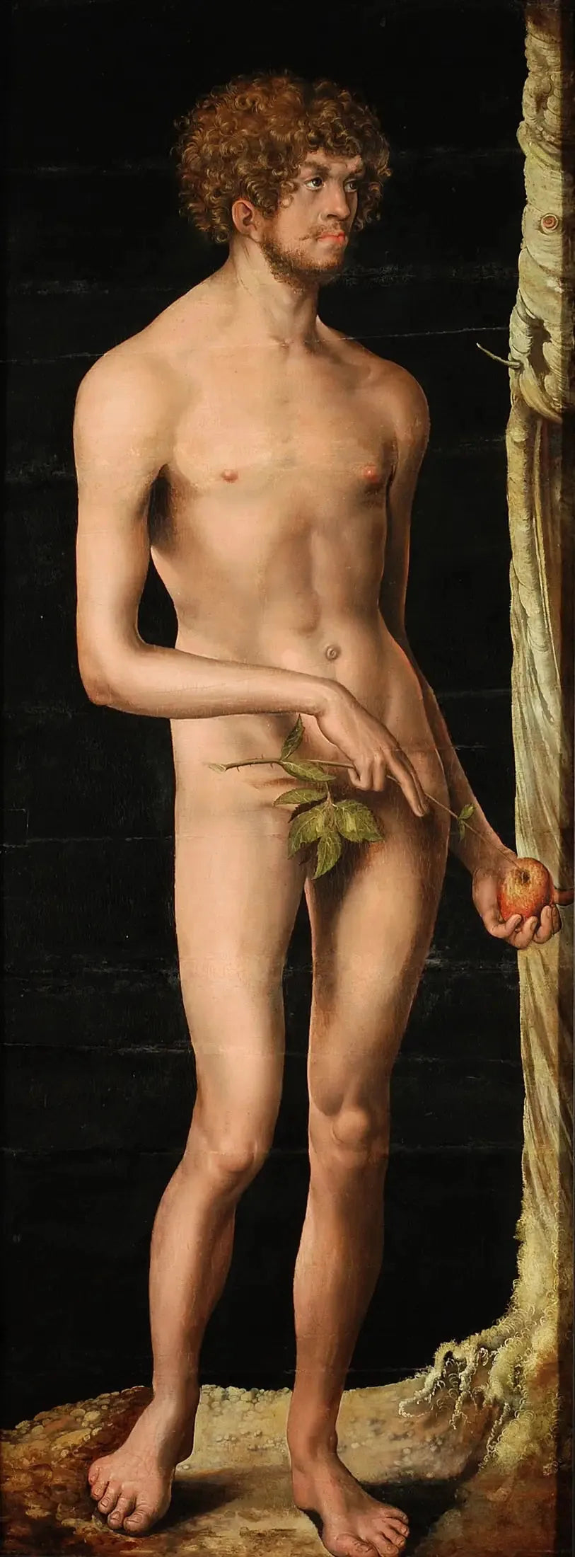 Adam - Lucas Cranach el Viejo