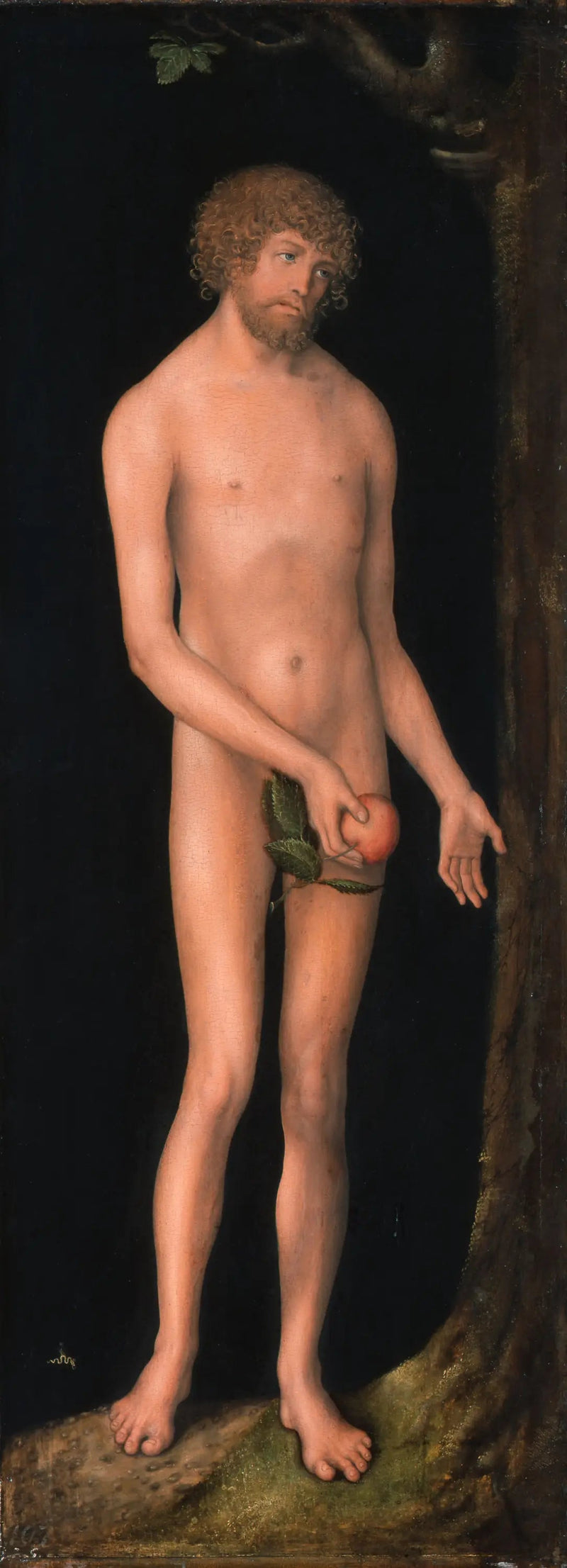 Adam - Lucas Cranach el Viejo