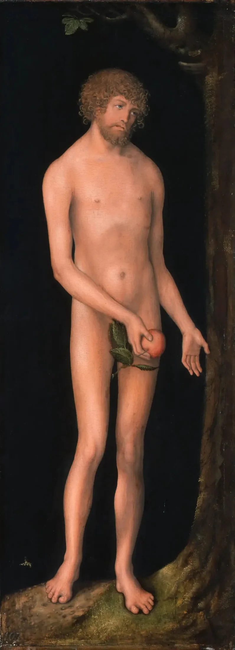 Adam - Lucas Cranach el Viejo