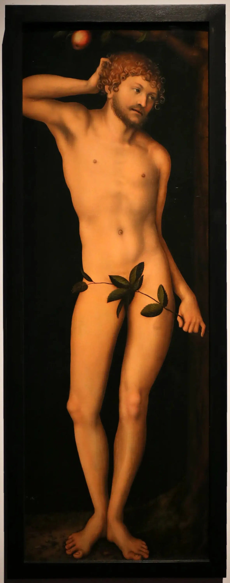 Adam - Lucas Cranach el Viejo