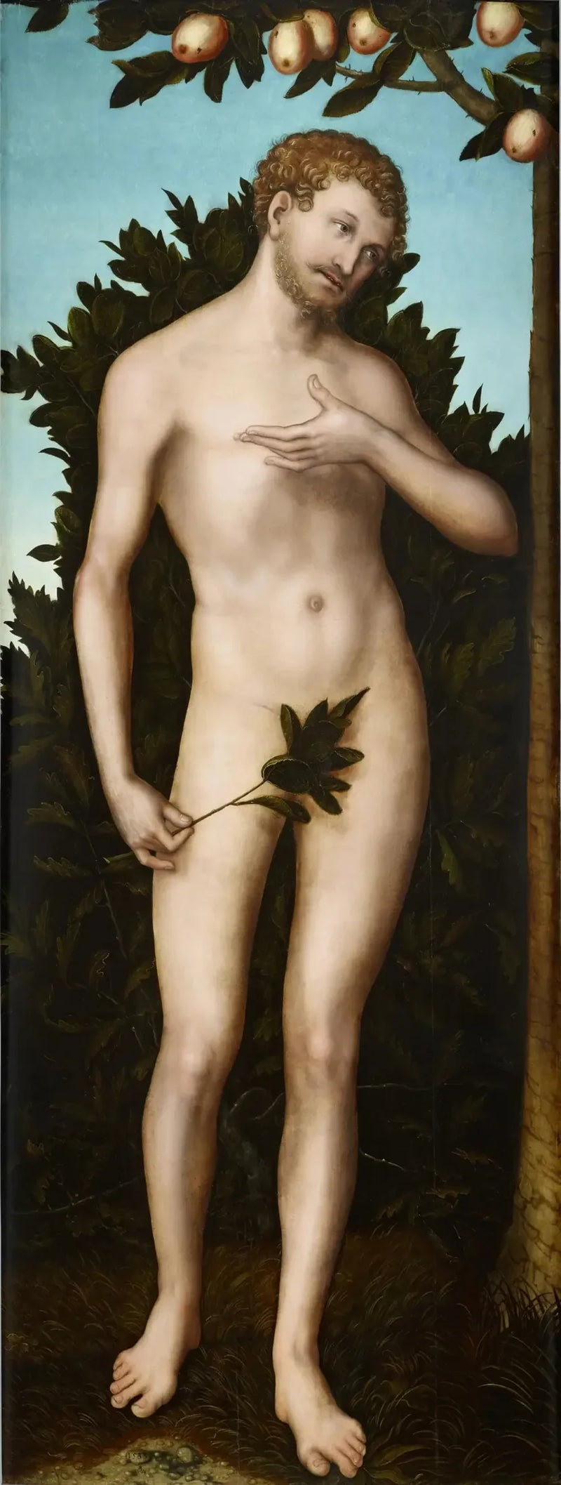 Adam - Lucas Cranach el Viejo