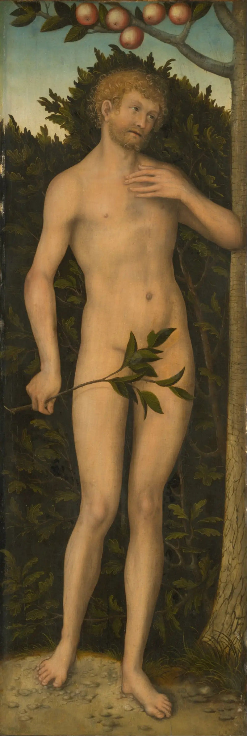 Adam - Lucas Cranach el Viejo
