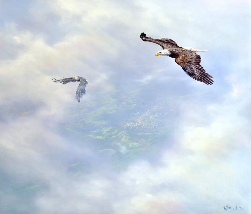 Águilas en vuelo | 200 x 170 cm