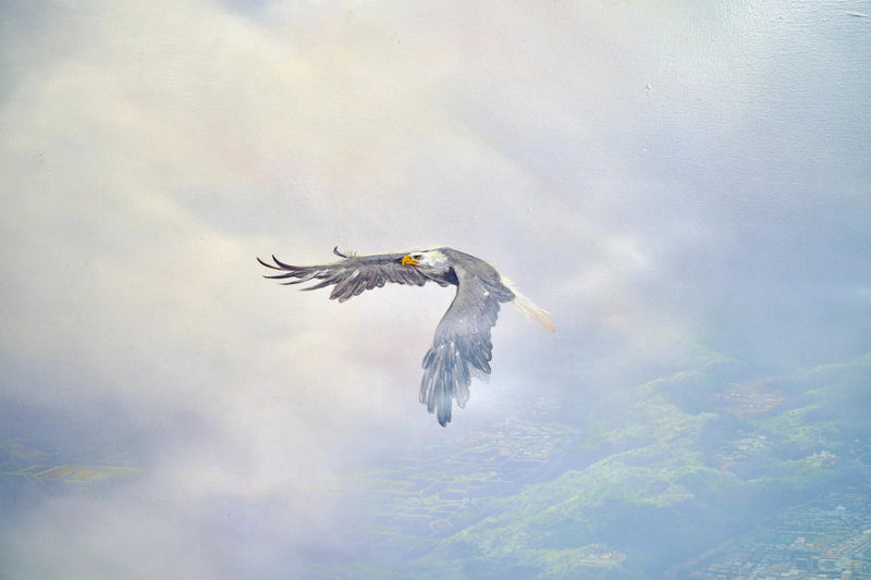 Águilas en vuelo | 200 x 170 cm