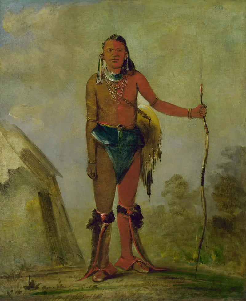 Aih-no-wa, El Fuego, un zorro sanador - George Catlin