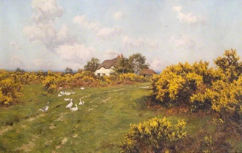 Ajoncs en un terreno comunal de Berkshire (Bucklebury Common) - Edward Wilkins Waite