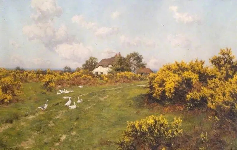 Ajoncs en un terreno comunal de Berkshire (Bucklebury Common) - Edward Wilkins Waite