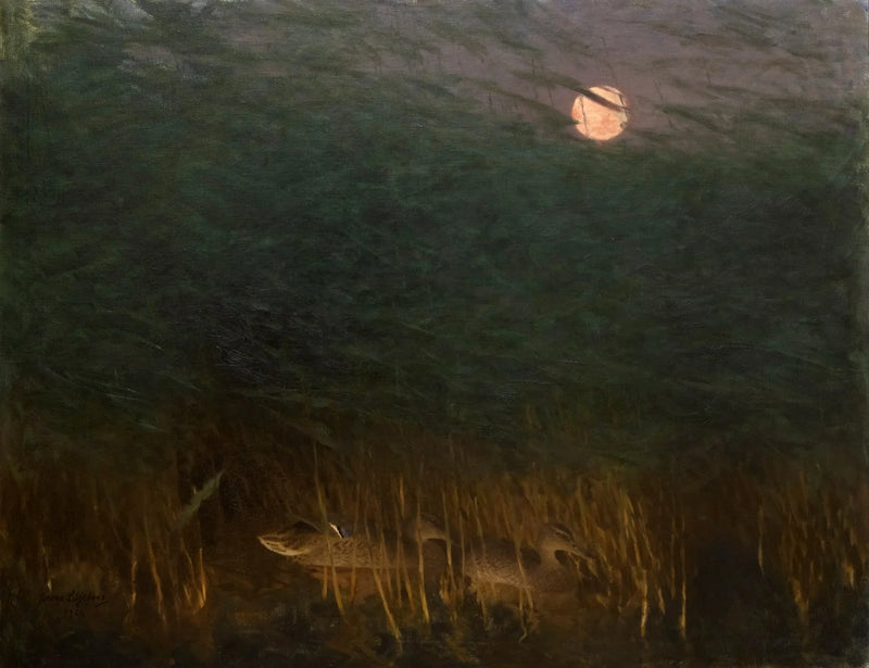 Ambiente nocturno con patos salvajes - Bruno Liljefors