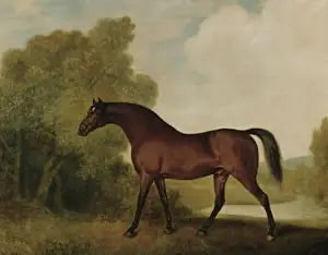 Ambrosio, un semental bayo, propiedad de Thomas Haworth - George Stubbs