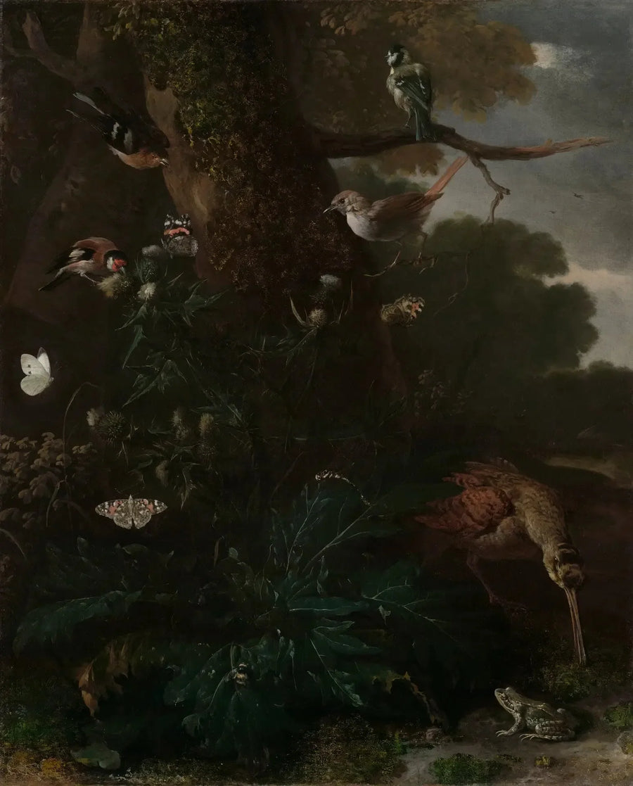 Animales y plantas del bosque - Melchior de Hondecoeter