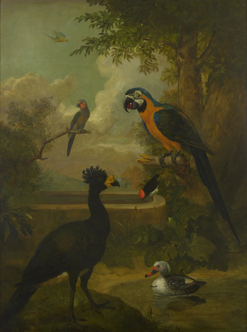 Ara y otros pájaros en un paisaje - Tobias Stranover